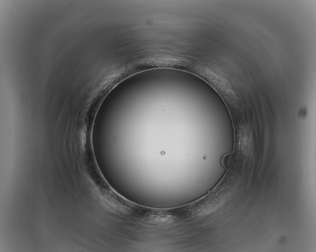 X0000097480206200802291406