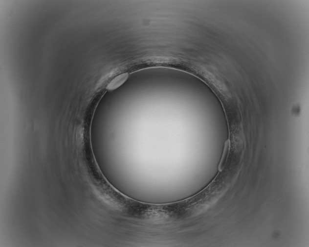 X0000097480207200802291406