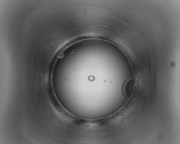 X0000097480208200802291406