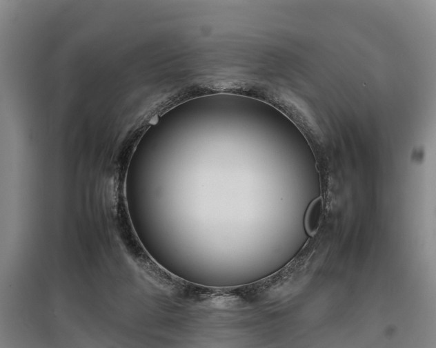 X0000097480210200802291406