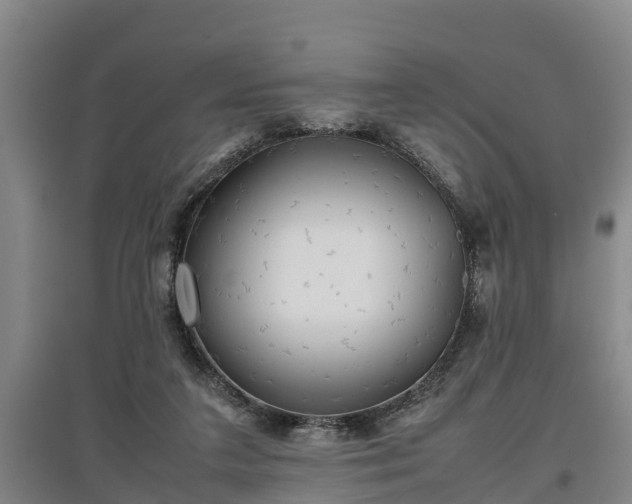 X0000097480211200802291406