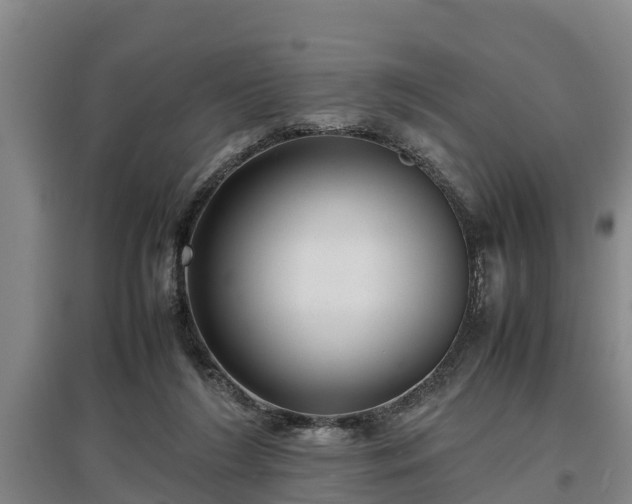 X0000097480212200802291406