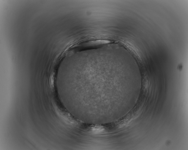 X0000097480214200802291406