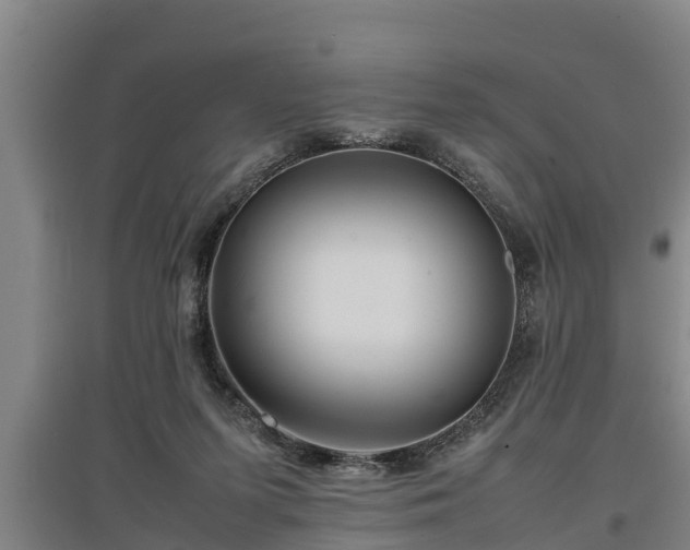 X0000097480215200802291406