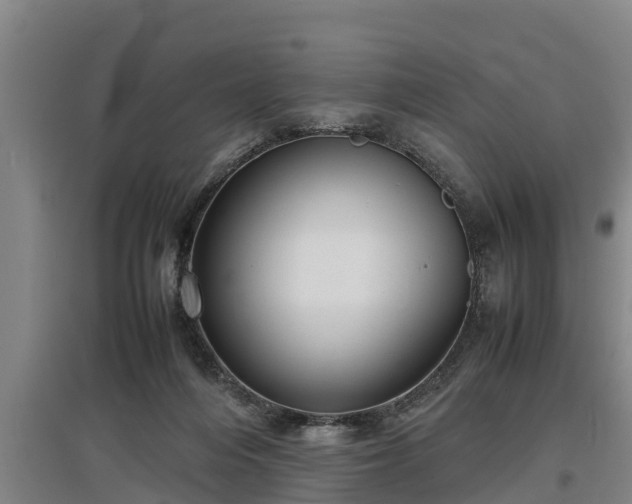 X0000097480216200802291406