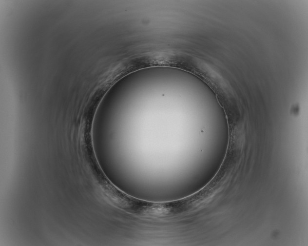 X0000097480217200802291406