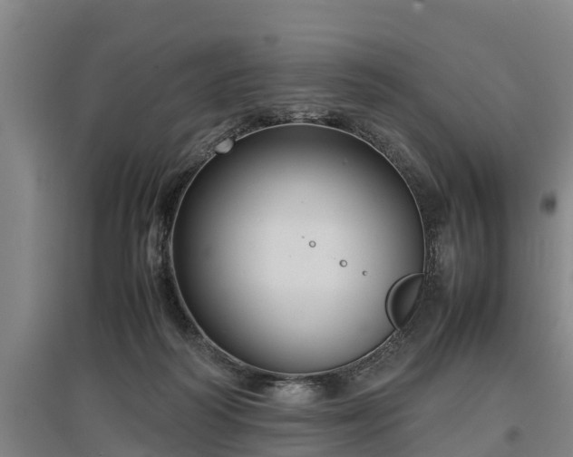 X0000097480218200802291406