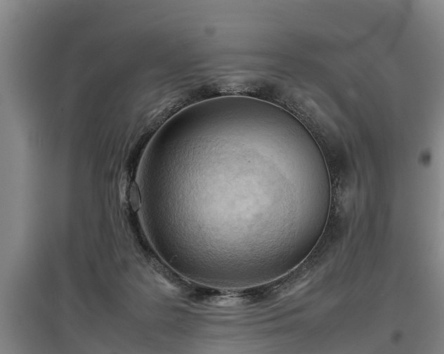 X0000097480219200802291406