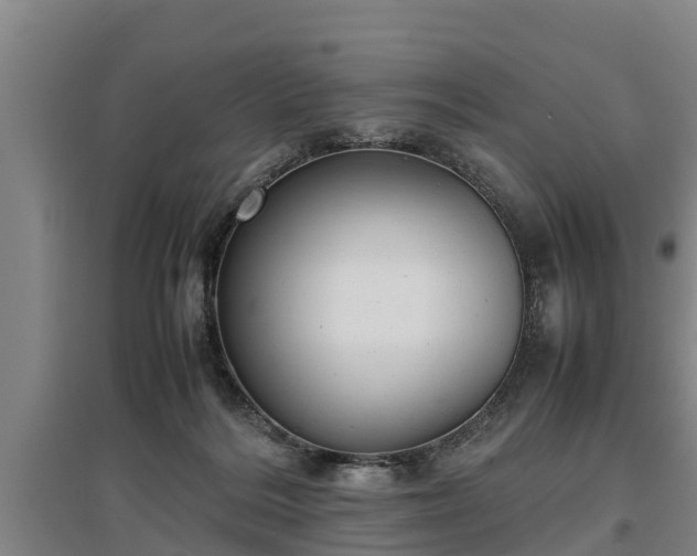 X0000097480220200802291406