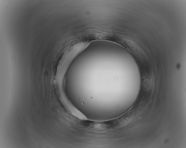 X0000097480221200802291406