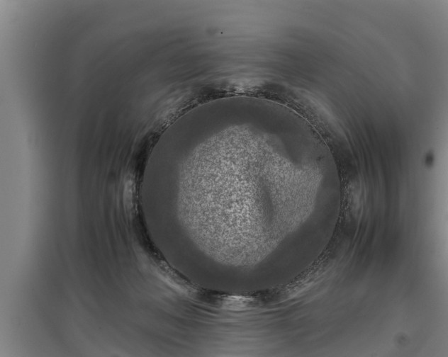 X0000097480222200802291406