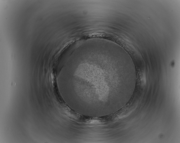 X0000097480224200802291406