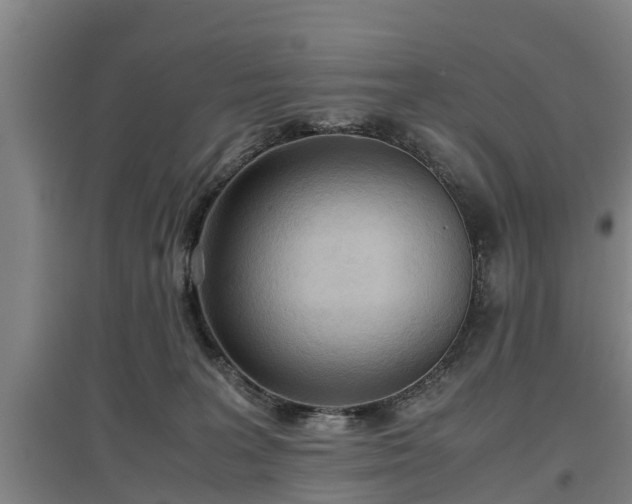 X0000097480227200802291406