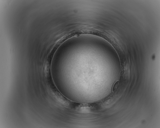 X0000097480228200802291406