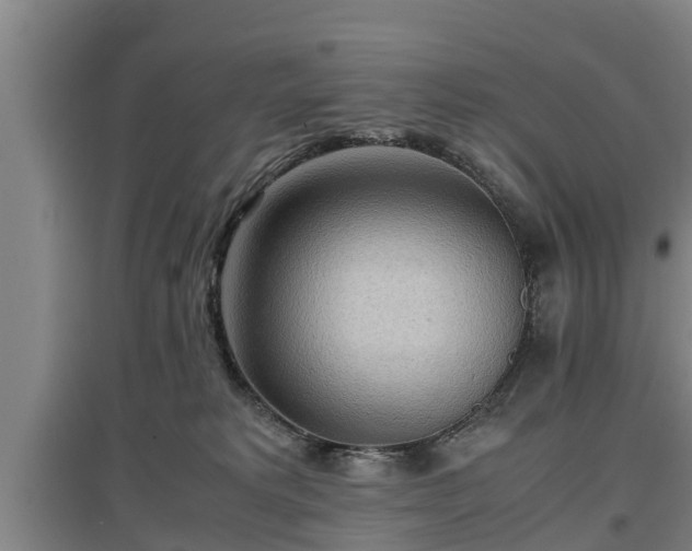 X0000097480229200802291406