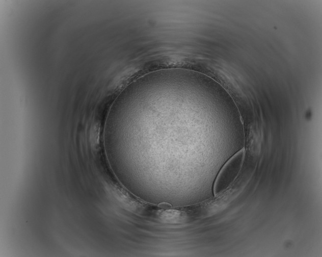 X0000097480230200802291406