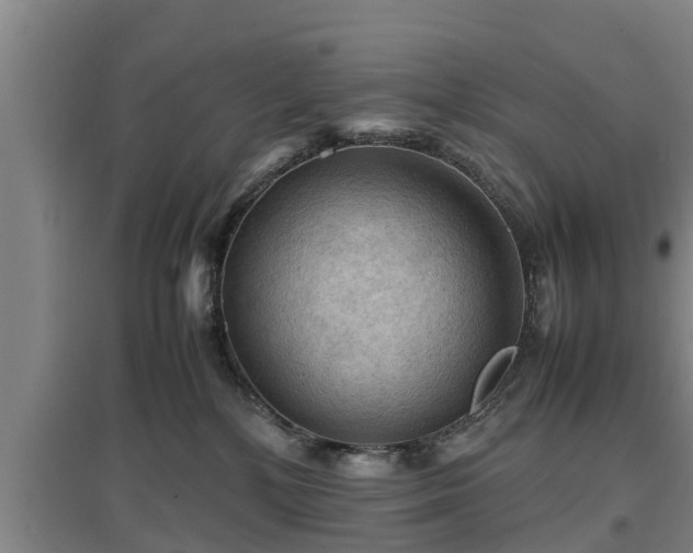 X0000097480232200802291406