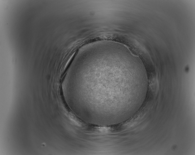 X0000097480233200802291406