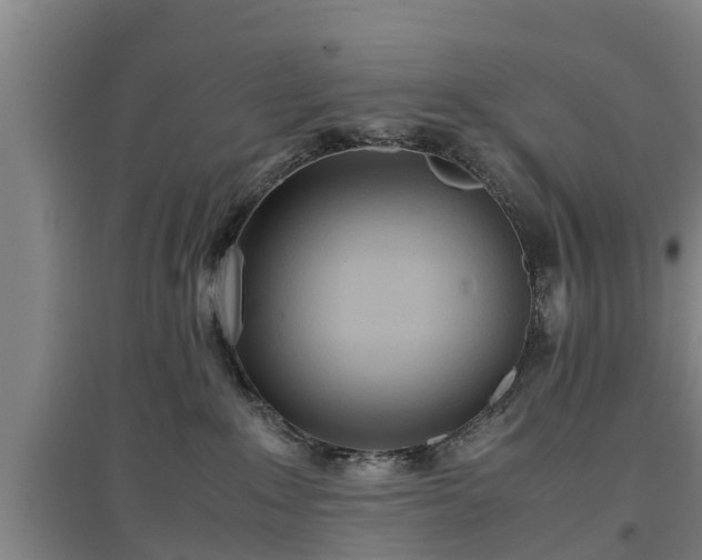 X0000097480235200802291405