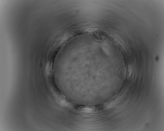 X0000097480236200802291405