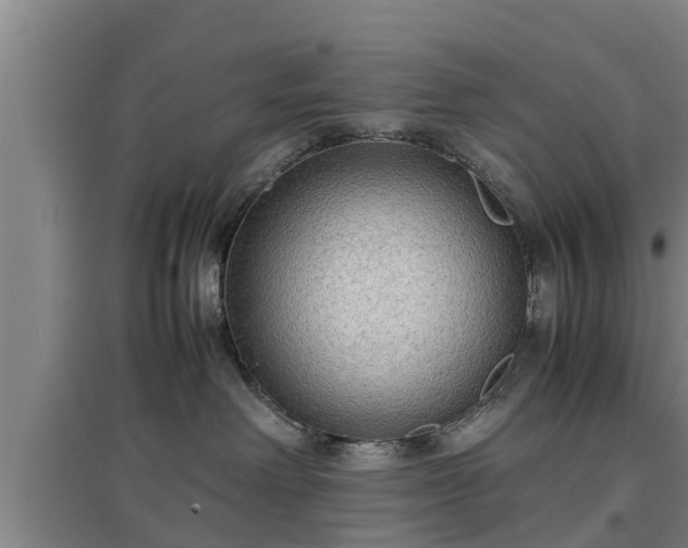 X0000097480238200802291405