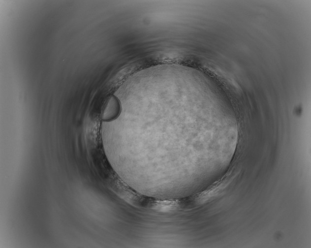 X0000097480240200802291405