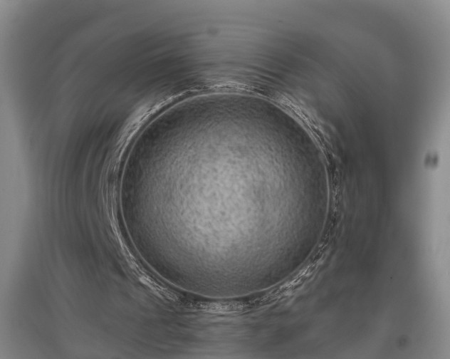 X0000097480241200802291405