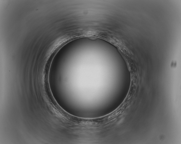 X0000097480242200802291405