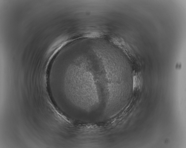 X0000097480243200802291405