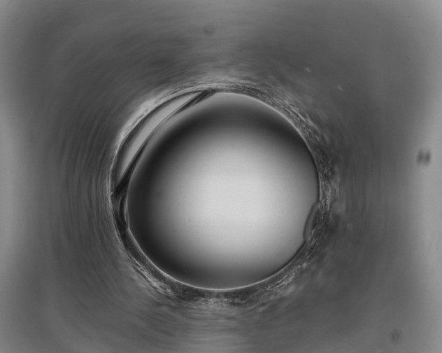 X0000097480244200802291405