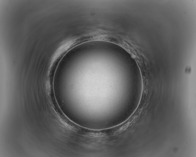 X0000097480245200802291405