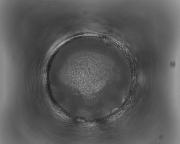 X0000097480247200802291405