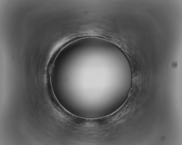 X0000097480248200802291405