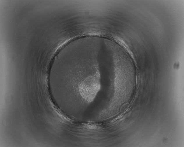 X0000097480249200802291405