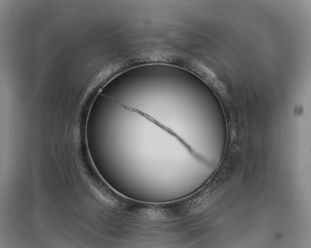 X0000097480250200802291405