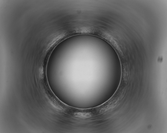 X0000097480251200802291405