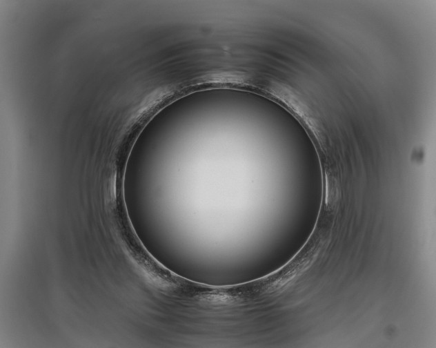 X0000097480253200802291405