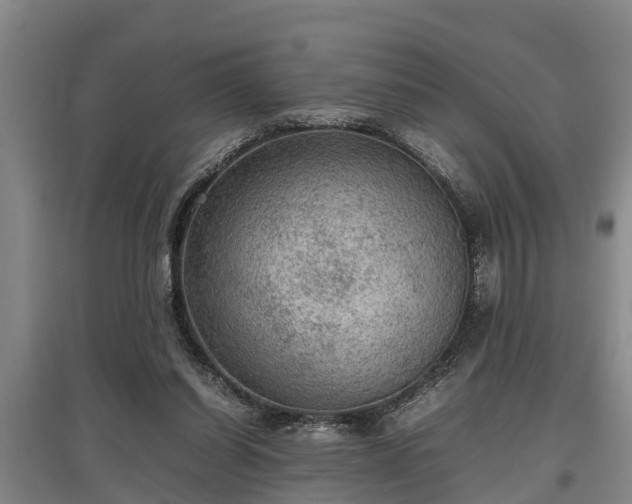 X0000097480254200802291405