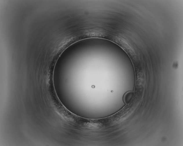 X0000097480255200802291405