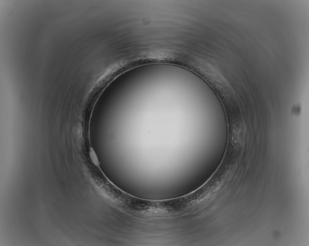 X0000097480256200802291405