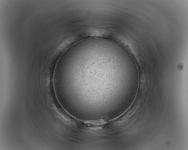 X0000097480257200802291405