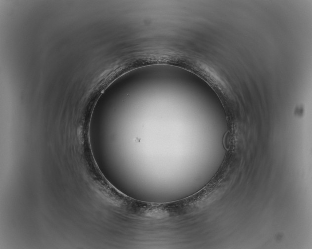 X0000097480258200802291405