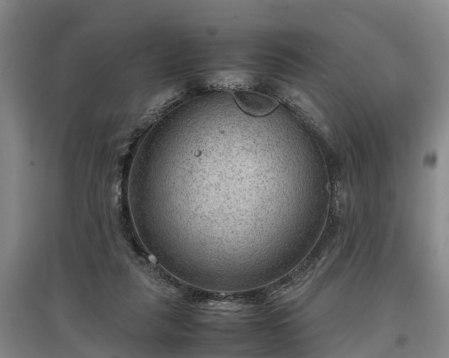 X0000097480259200802291405