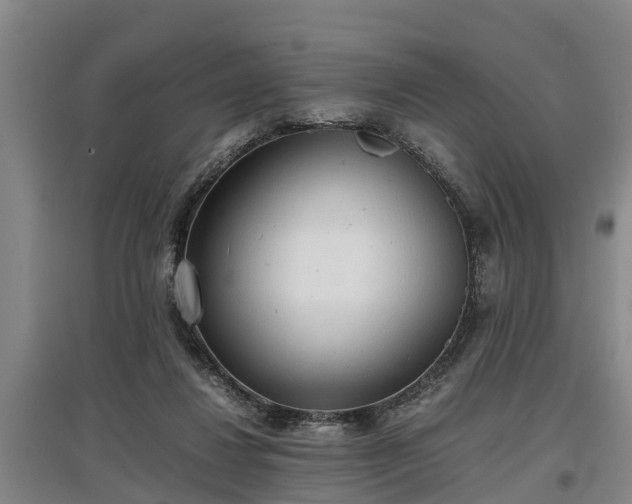 X0000097480260200802291405