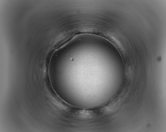 X0000097480261200802291405