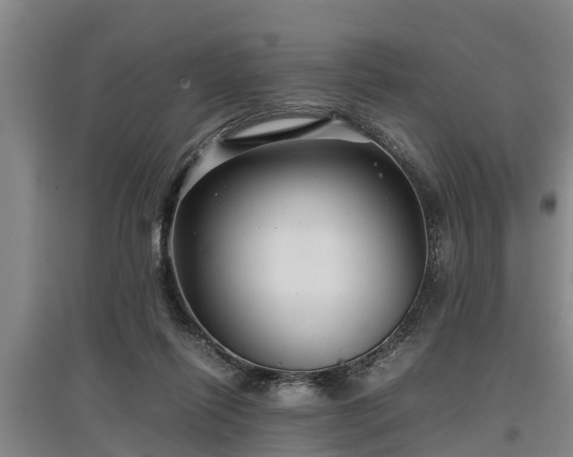 X0000097480262200802291405