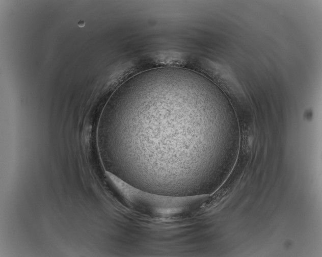 X0000097480263200802291405