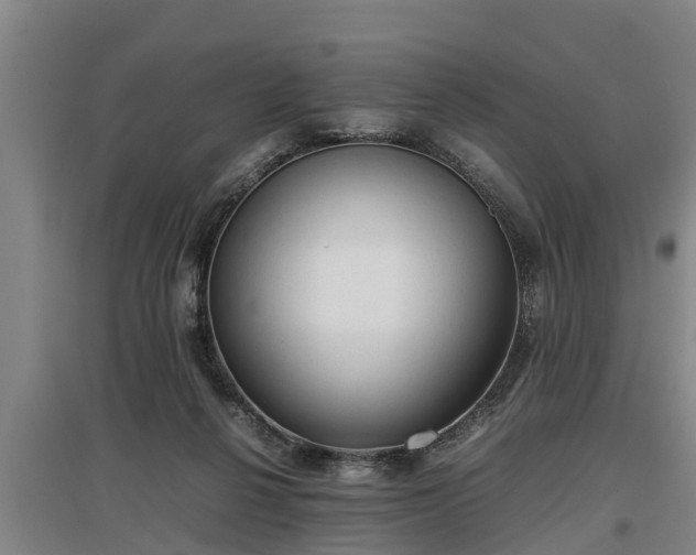 X0000097480264200802291405