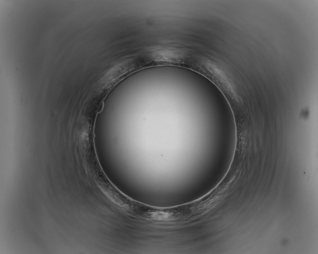 X0000097480265200802291405