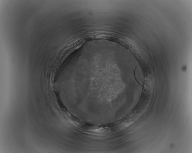 X0000097480267200802291405